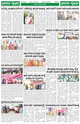 page (3)